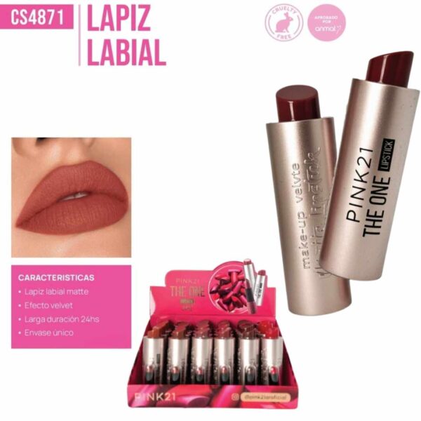 LABIAL MATTE EN BARRA PINK21 CS4671