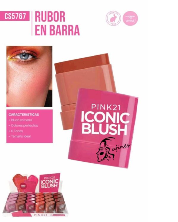RUBOR EN BARRA PINK21 CS5767